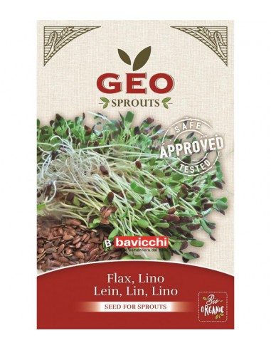 Len - nasiona na kiełki GEO, certyfikowane, 80g, Bavicchi