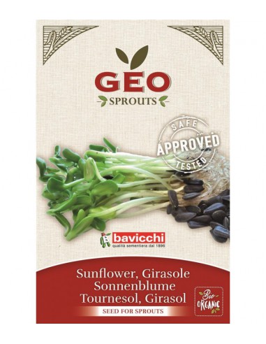 Słonecznik - nasiona na kiełki GEO, certyfikowane, 80g, Bavicchi