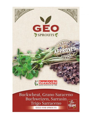 Gryka - nasiona na kiełki GEO, certyfikowane, 90g, Bavicchi