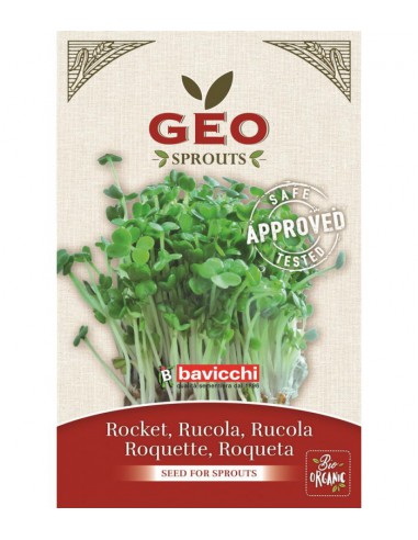 Rukola - nasiona na kiełki GEO, certyfikowane, 30g, Bavicchi