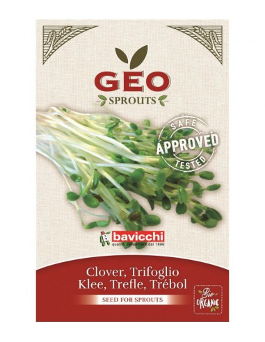 Koniczyna - nasiona na kiełki GEO, certyfikowane, 40g, Bavicchi