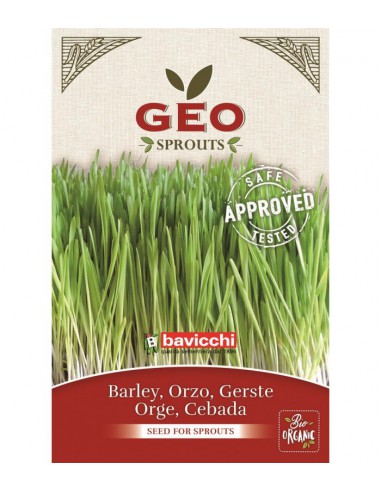 Jęczmień - nasiona na kiełki GEO, certyfikowane, 80g, Bavicchi