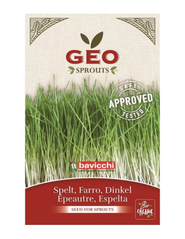 Orkisz - nasiona na kiełki GEO, certyfikowane, 80g, Bavicchi