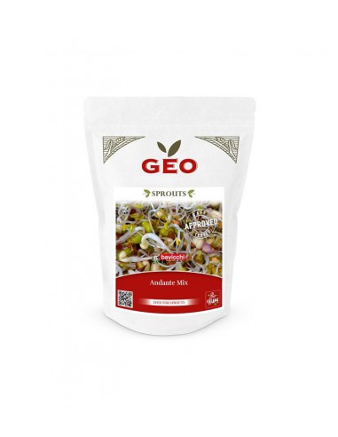 Andante - mix nasion na kiełki GEO, certyfikowane, 400g Bavicchi