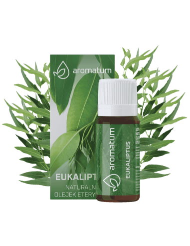 Eukaliptus – naturalny olejek eteryczny - 12 ml Aromatum
