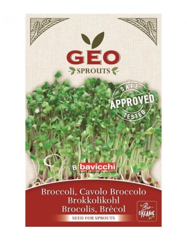 Brokuły - nasiona na kiełki GEO, certyfikowane, 13g Bavicchi